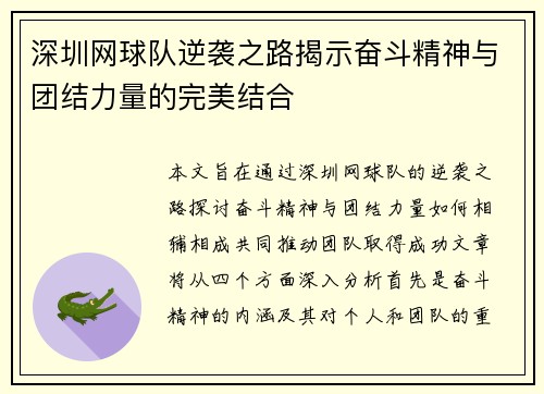 深圳网球队逆袭之路揭示奋斗精神与团结力量的完美结合