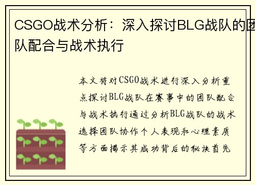 CSGO战术分析：深入探讨BLG战队的团队配合与战术执行