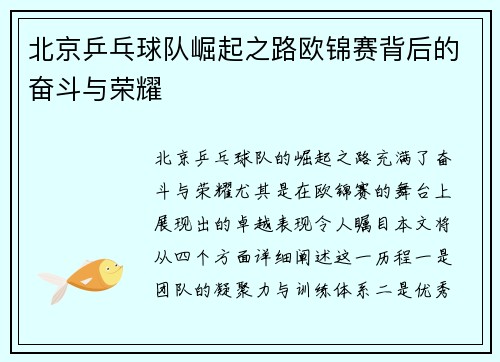 北京乒乓球队崛起之路欧锦赛背后的奋斗与荣耀